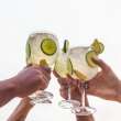 Cum să prepari un gin tonic perfect? 4 lucruri de care să ții cont