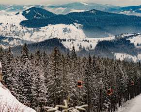 Bucovina