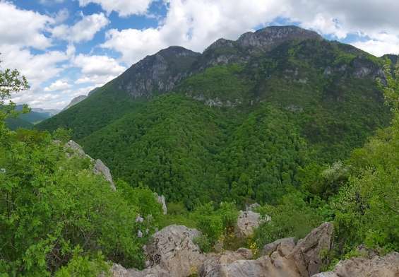 herculane