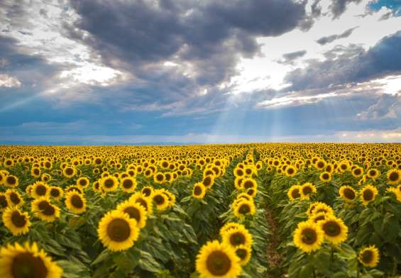 romania