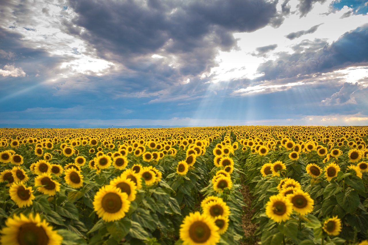 romania