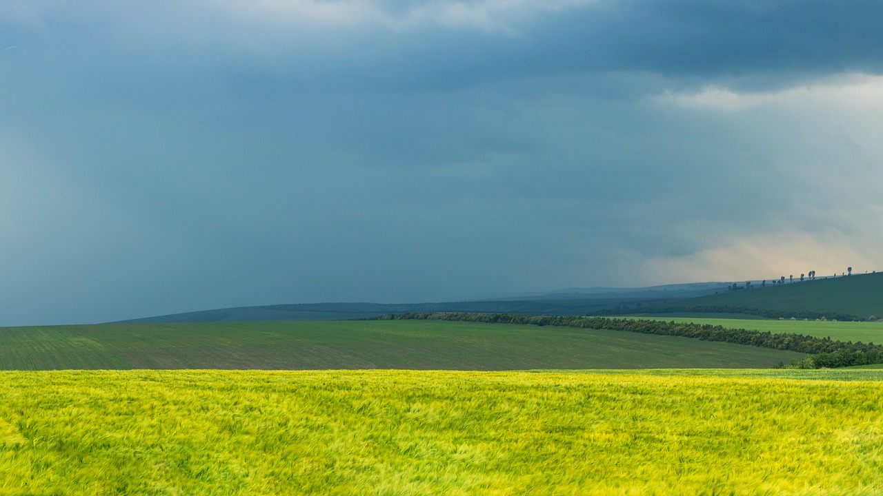 ziua nationala a republicii moldova