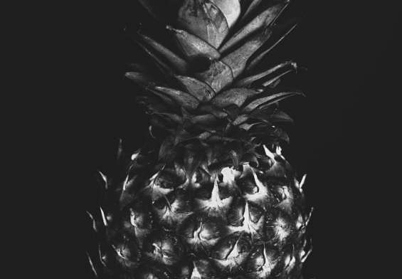 ziua pisicilor negre