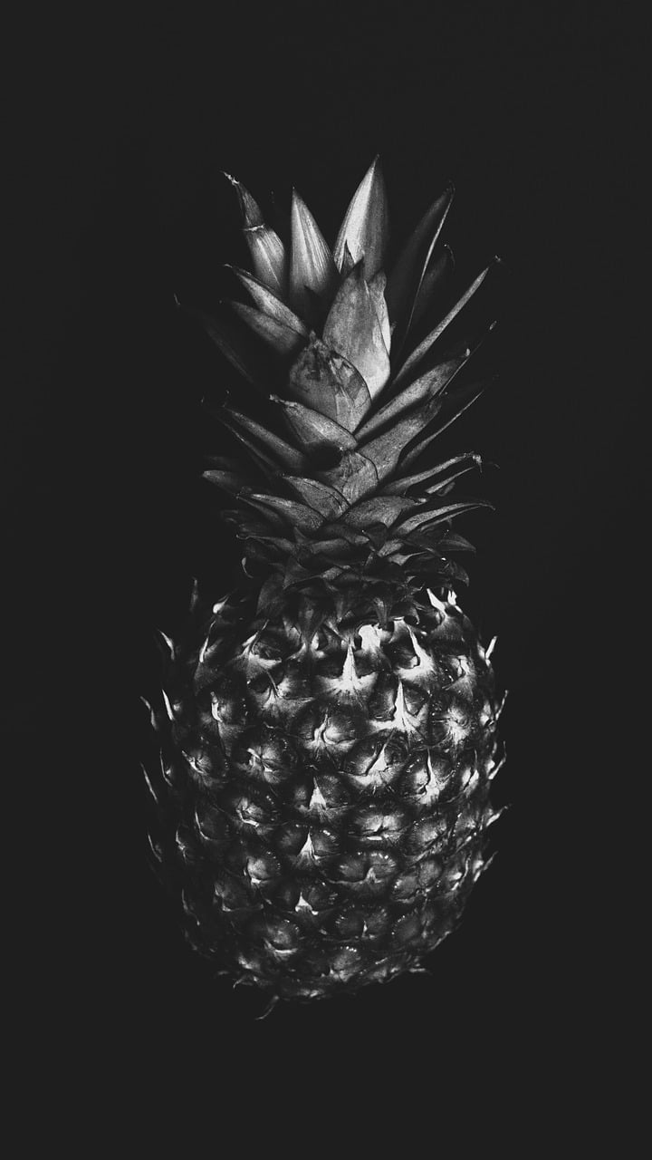 ziua pisicilor negre